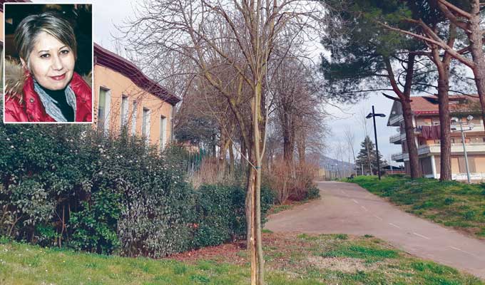 Albero nato
